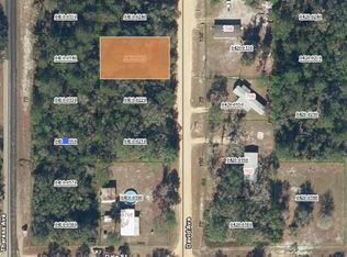 0 David Ave #23, Interlachen, FL 32148