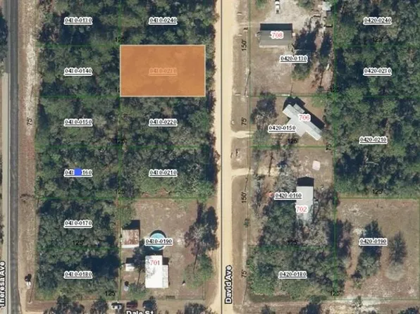 0 David Ave #23, Interlachen, FL 32148