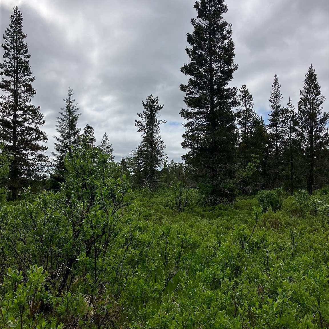 69 Rink Creek Rd, Gustavus, AK 99826 Zillow