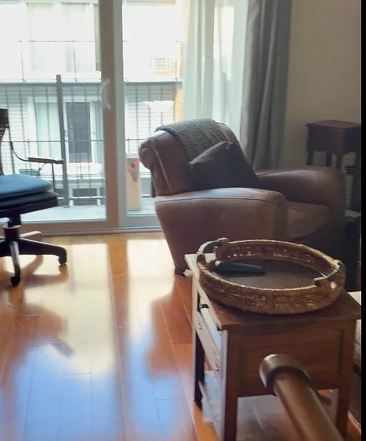 Studio, 363 sqft, $1,800 — Photo 3