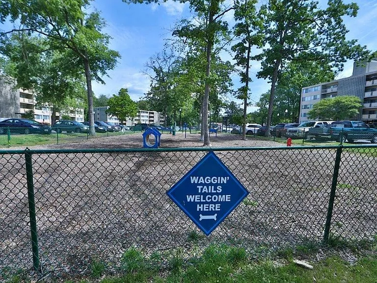 Dog Park