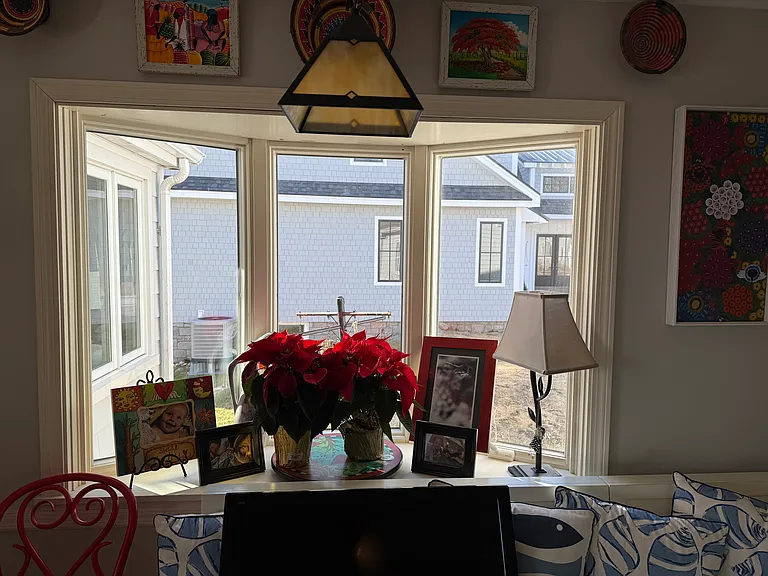 Kitchen window
