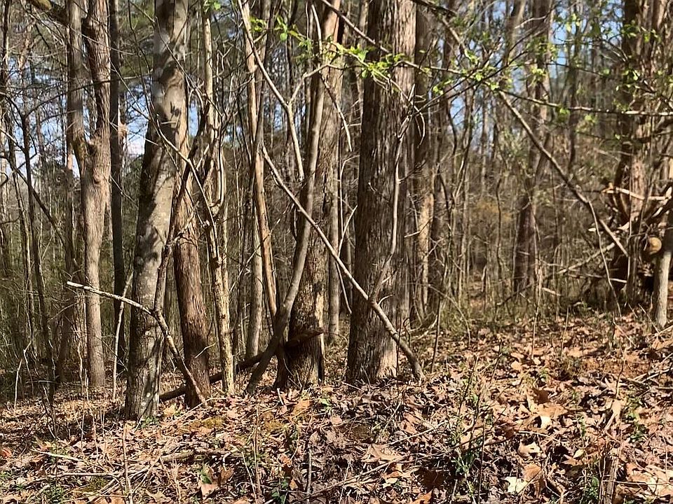 2nd image of Ledgerwood Ln