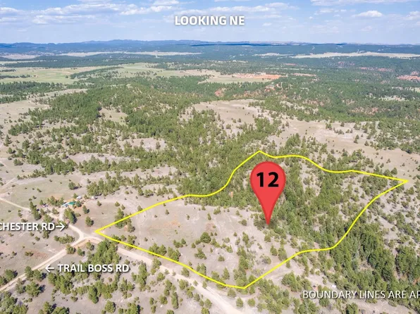 Winchester Rd, Custer, SD 57730