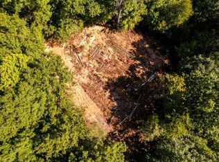 437 Trickle Branch Ln, Whittier, NC 28789