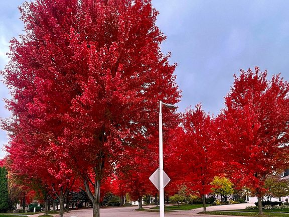 4th image of 1017 Fox Knoll Dr SW