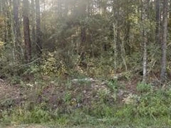 Hook St, Abita Springs, LA 70420