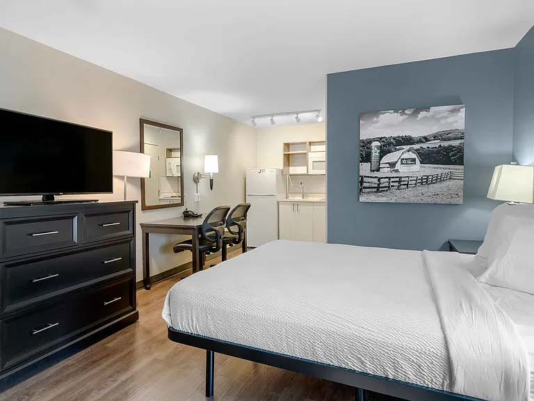 Studio Suite - 1 Queen Bed