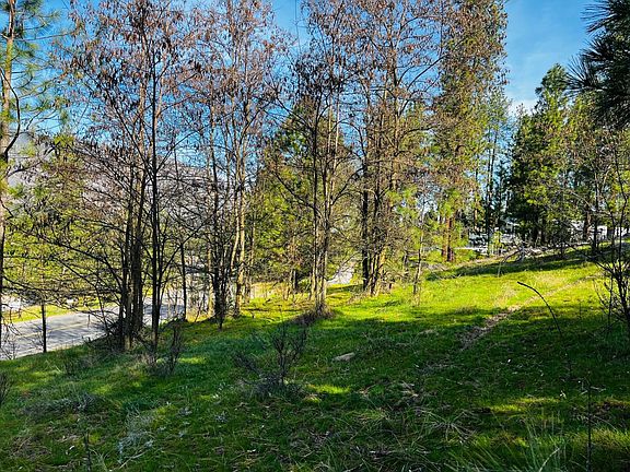 5th image of 1390 Lookout Point Way
