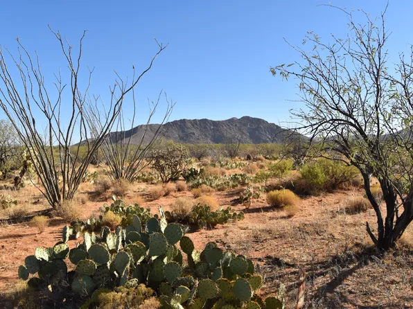 16061 S Caton Ave, Tucson, AZ 85736