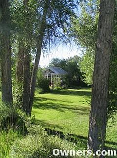 back yard/greenhouse