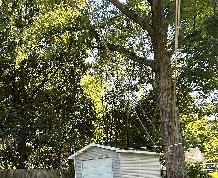 627 Dayton Ave — Photo 5