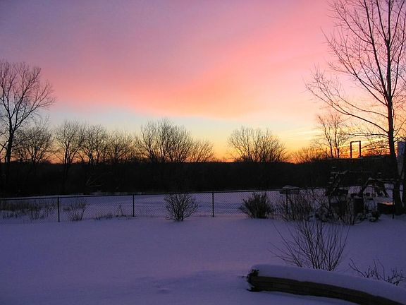 Backyard in winter