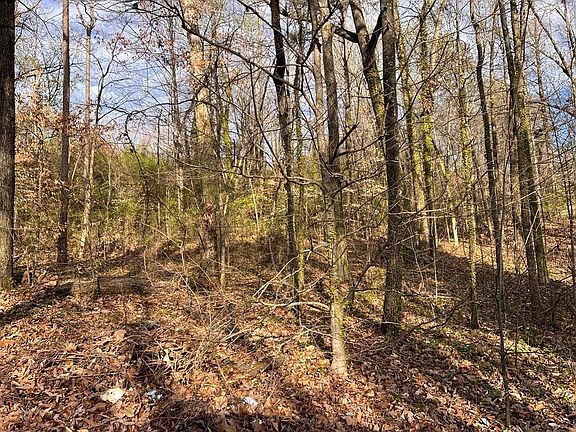 4th image of 0 Dogwood Dr