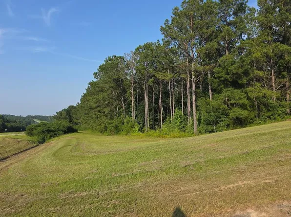 4451 Highway 431 S, Eufaula, AL 36027