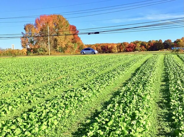 248 Bordentown Chesterfield Rd, Chesterfield, NJ 08515