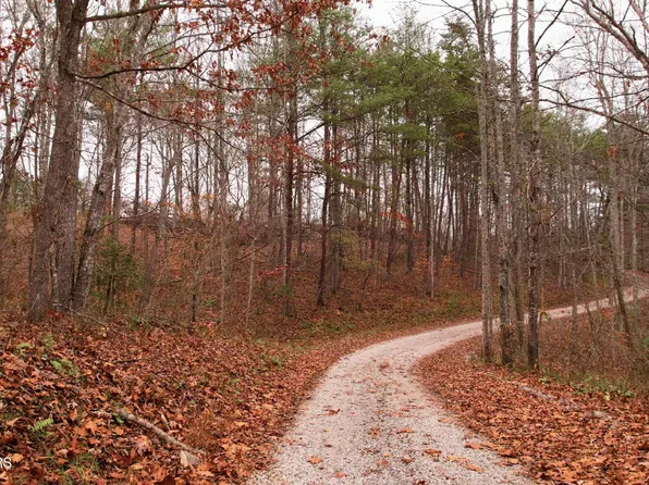 Locust Stump Ridge Rd, La Follette, TN 37766