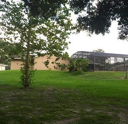 Backyard looking up toward the house