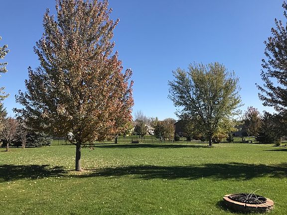 Backyard facing East