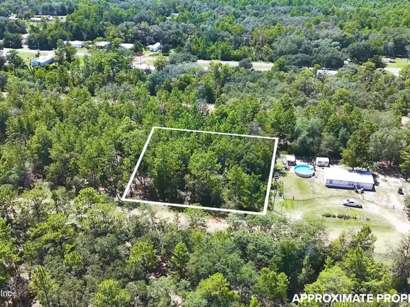 27 NEISMAN AVENUE LOT 27, Interlachen, FL 32148