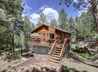 163 N Circle Dr, Bailey, CO 80421