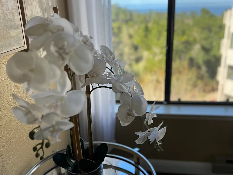 Ocean Views and designer touches