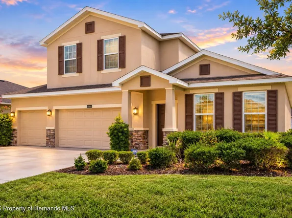 13366 Barkingside Pl, Spring Hill, FL 34609