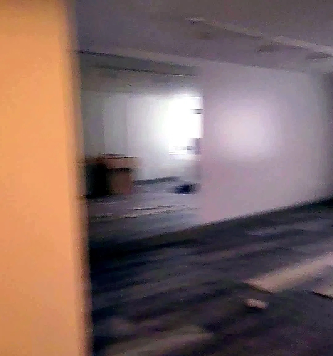 1 bed, 650 sqft, $1,800 — Photo 4