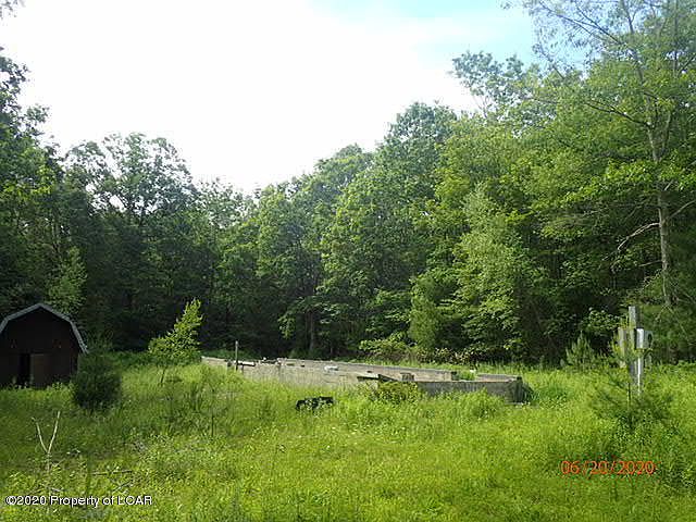 2nd image of 12 Red Ash Ln