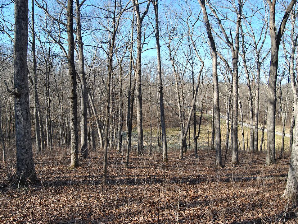 1st image of 20 Sandy Woods Dr.