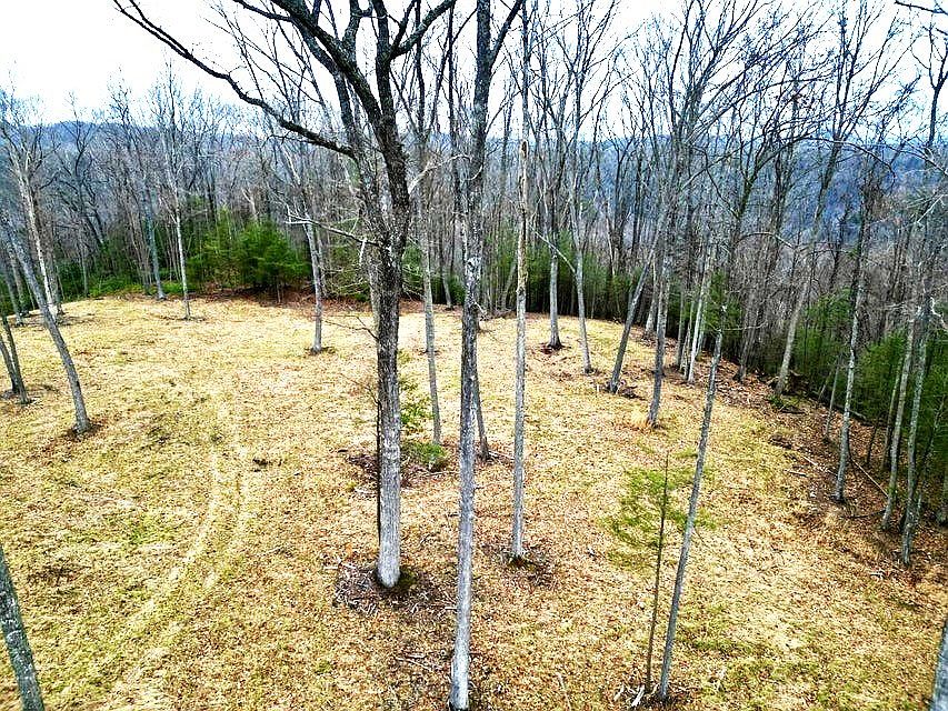 2nd image of 403 Ridge Run Rd #405