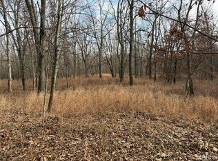 0 Edgewood Rd, Salem, IL 62881