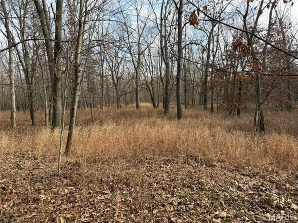 0 Edgewood Rd, Salem, IL 62881