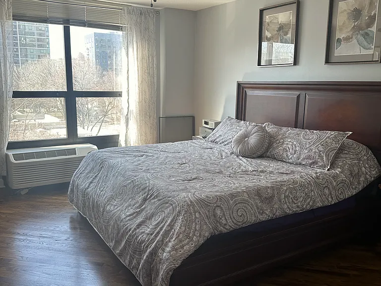 901 S Plymouth Ct #206 — Photo 7