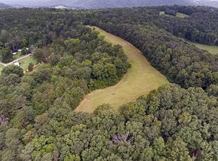 134 Merrill Mountain Cir, Grant, AL 35747