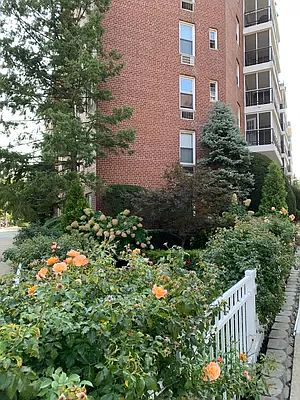 3rd image of 66-15 Thornton Pl #1B