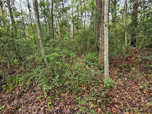 188 Osprey Pl, Brunswick, GA 31525