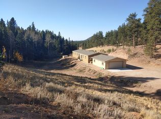 734 John Dr, Divide, CO 80814