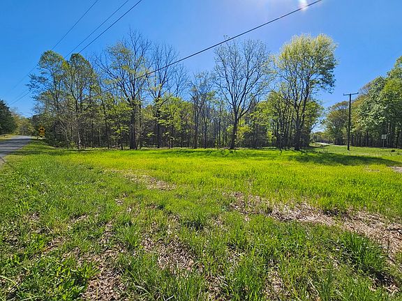 3rd image of Physic Spring Rd