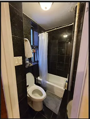 Rented by Manhattan Dwelling Corporation | media 22