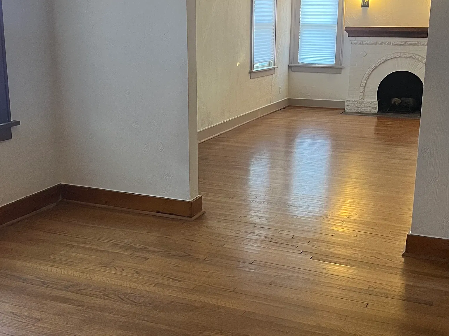 1 bed, 900 sqft, $1,199 — Photo 4
