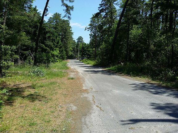 5th image of 51 Lobelia Ave