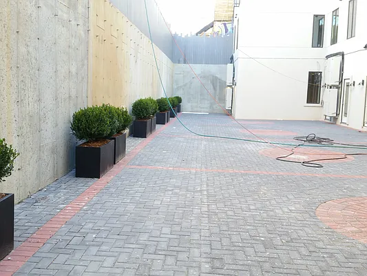 Rented by Evergreen Apartments BK | media 4