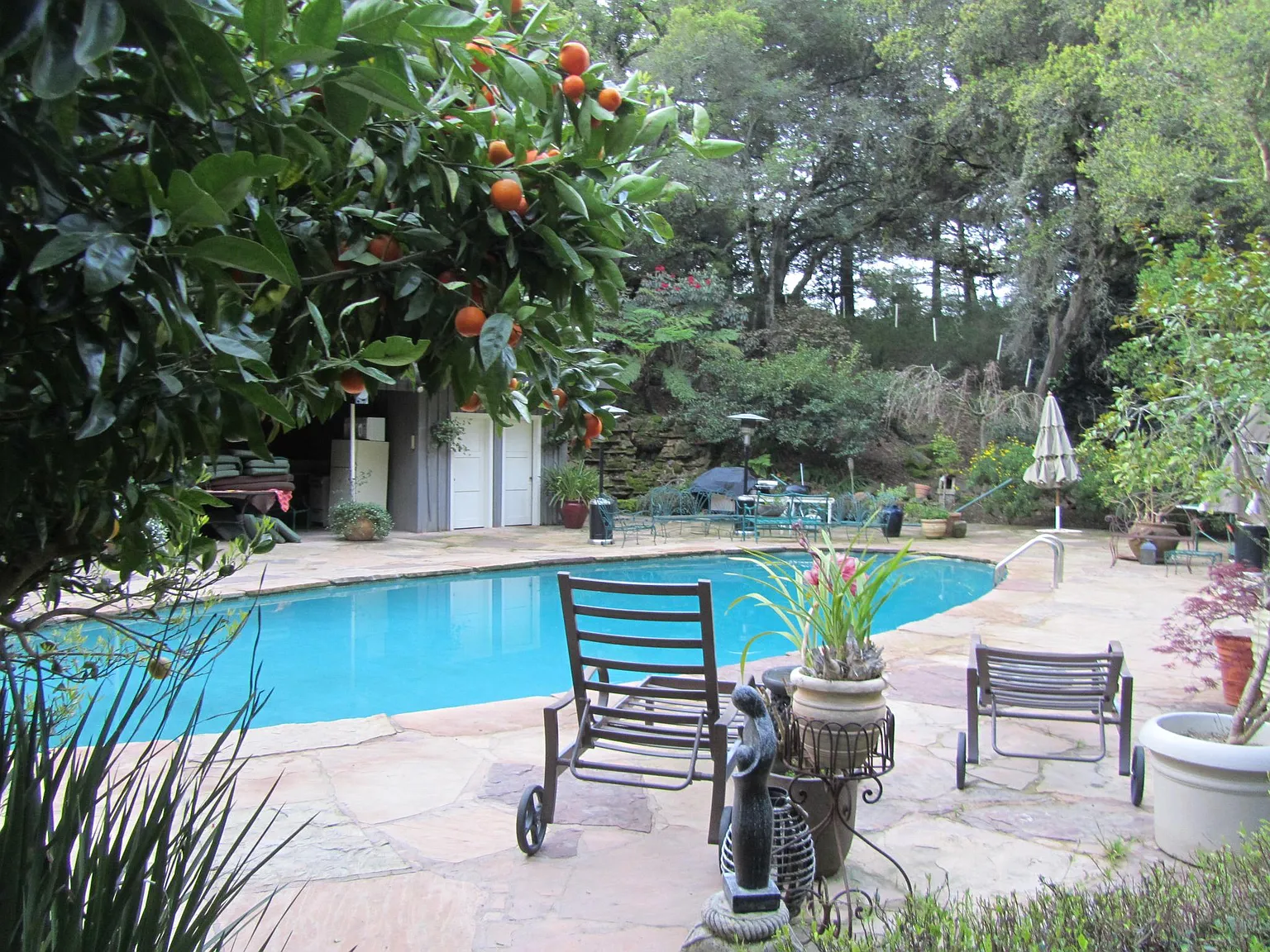 2 bed, 1800 sqft, $4,900 — Photo 3