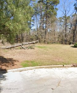 1074 Halton Ct, Brandon, MS, 39047