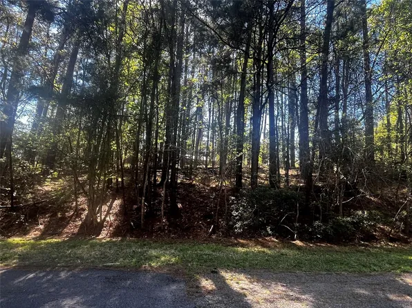 207 Green Tree Dr Lot 20, Coldspring, TX 77331