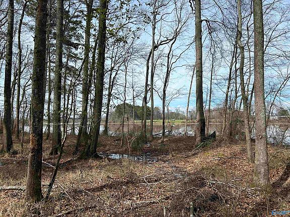 2nd image of LOT 13 County Road 914