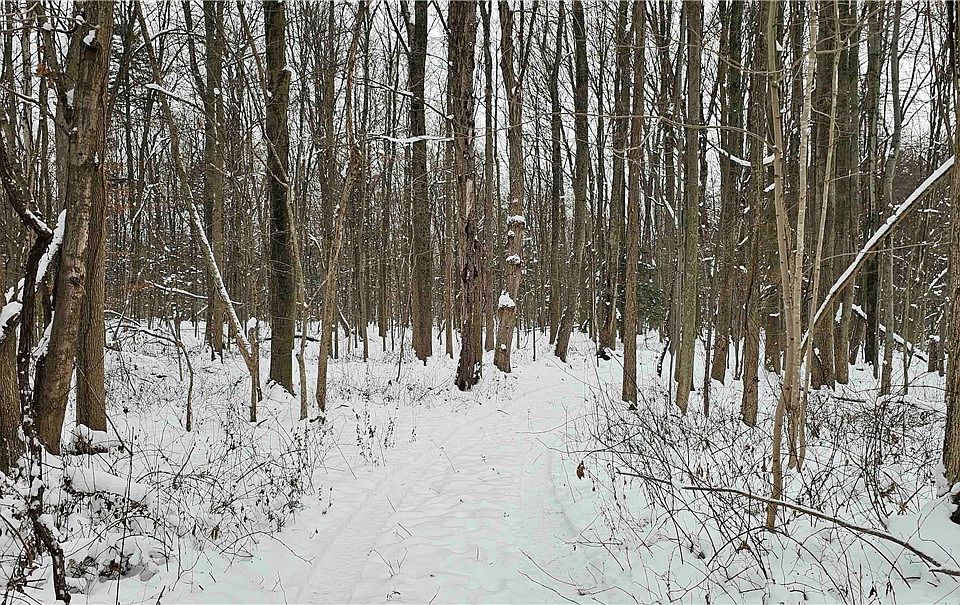 1st image of 8424 Highway 104a #A