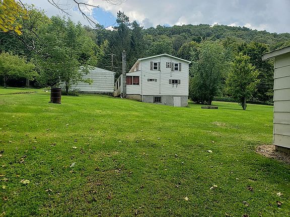 Backyard (Back of house )