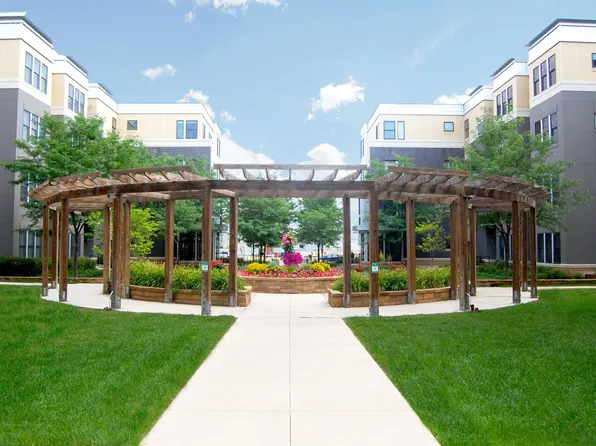 Vine Street Lofts